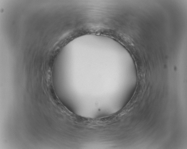 X0000061721349200512302109