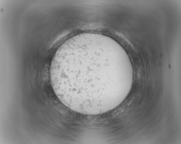 X0000061721350200512302109