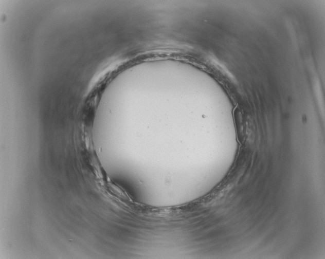 X0000061721352200512302109