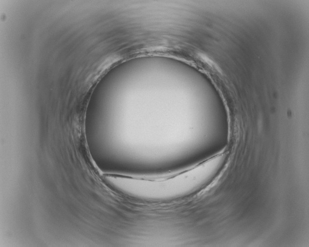 X0000061721353200512302109