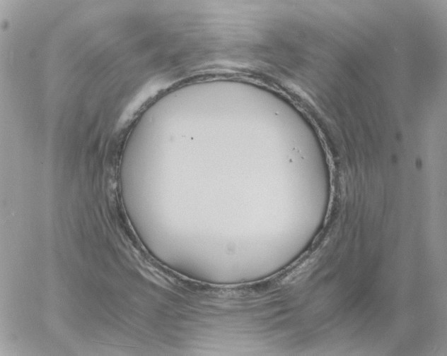 X0000061721355200512302109