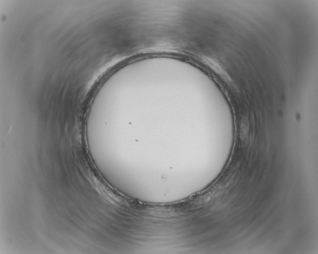 X0000061721356200512302109