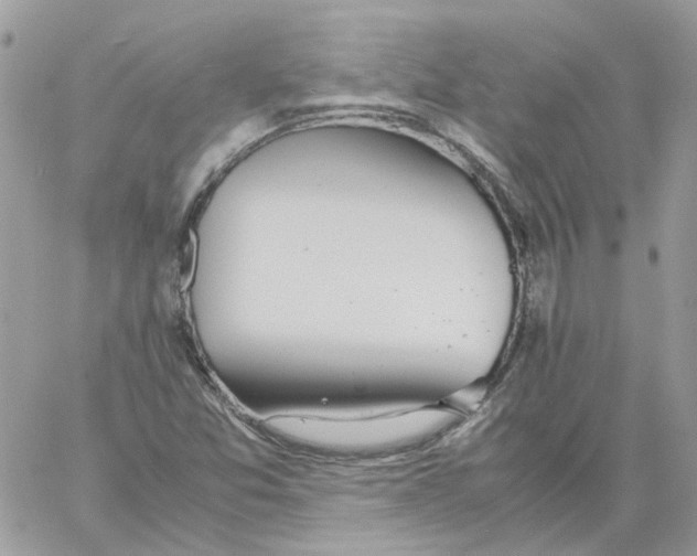 X0000061721357200512302109