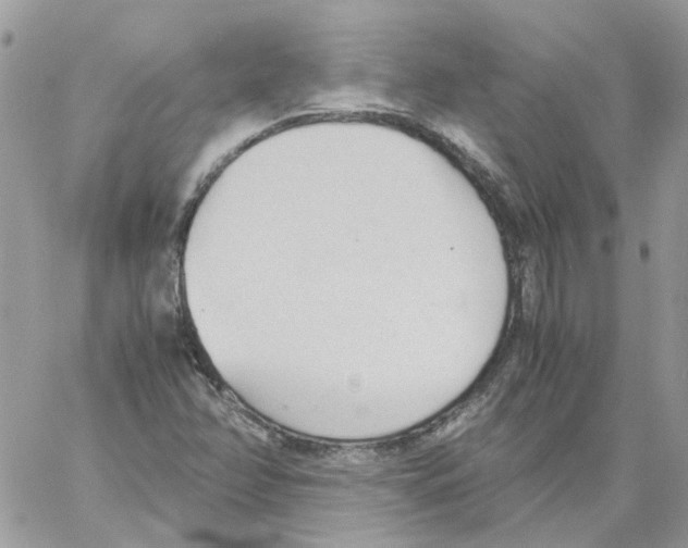 X0000061721358200512302109