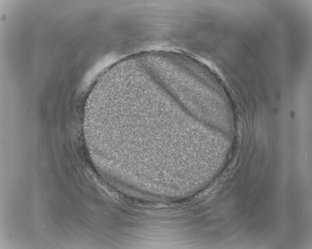 X0000061721359200512302109