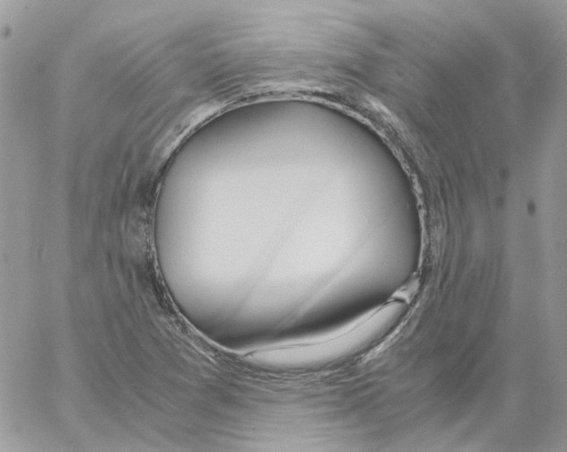 X0000061721361200512302109