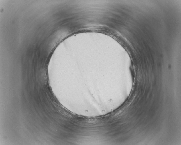 X0000061721362200512302109