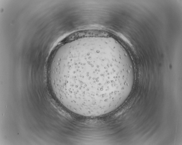 X0000061721364200512302109