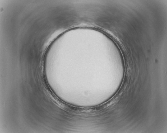 X0000061721367200512302109