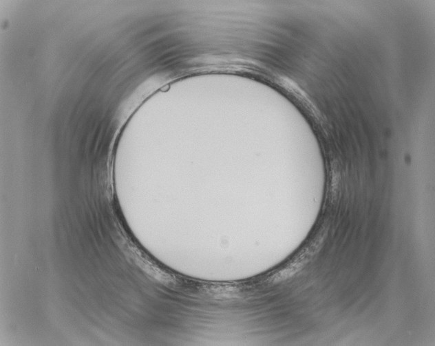 X0000061721370200512302109