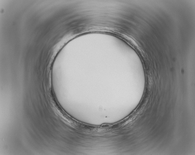 X0000061721371200512302109