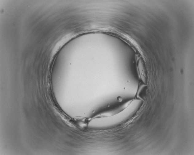 X0000061721373200512302109