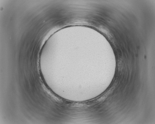 X0000061721374200512302109