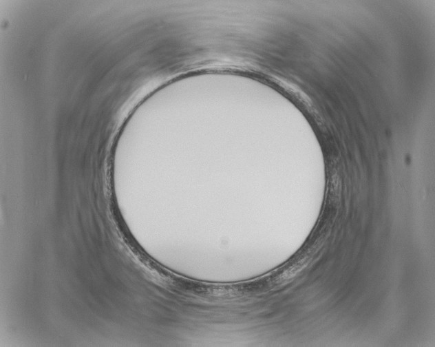 X0000061721375200512302109