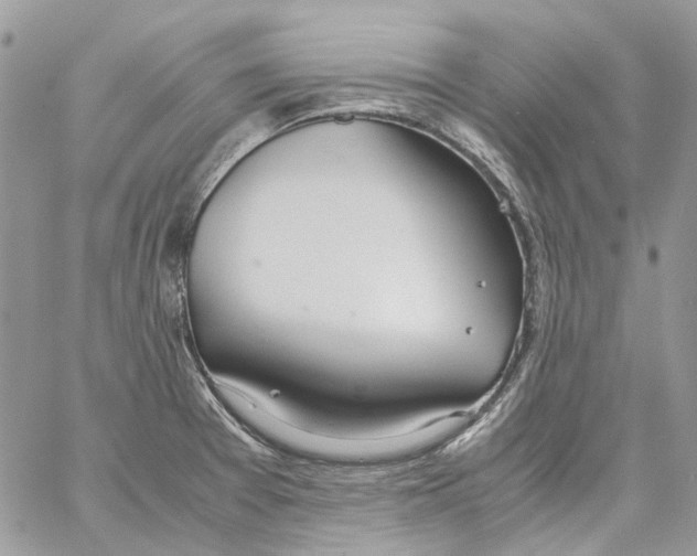 X0000061721377200512302109