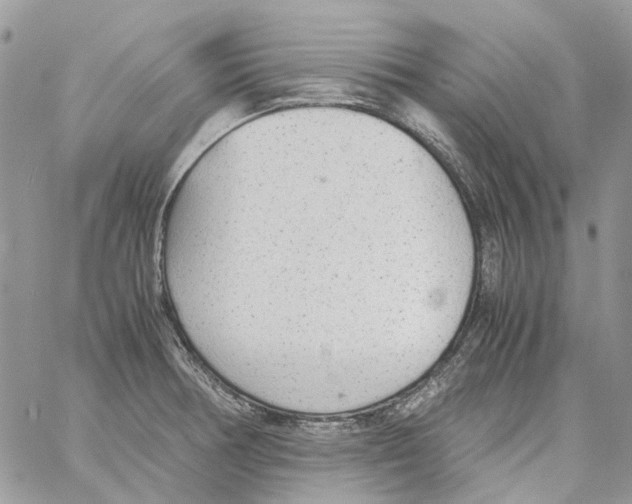 X0000061721378200512302109