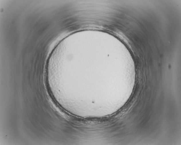 X0000061721379200512302109