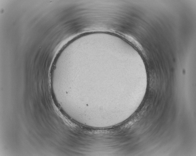 X0000061721380200512302109