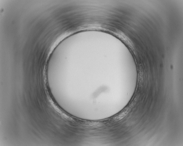 X0000061721382200512302108