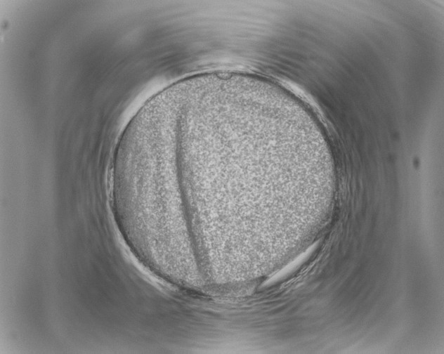 X0000061721383200512302108