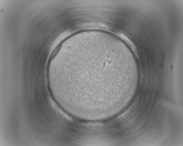 X0000061721384200512302108