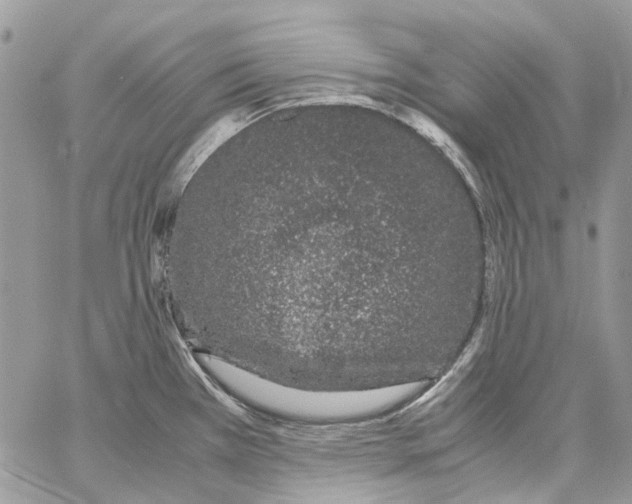 X0000061721385200512302108