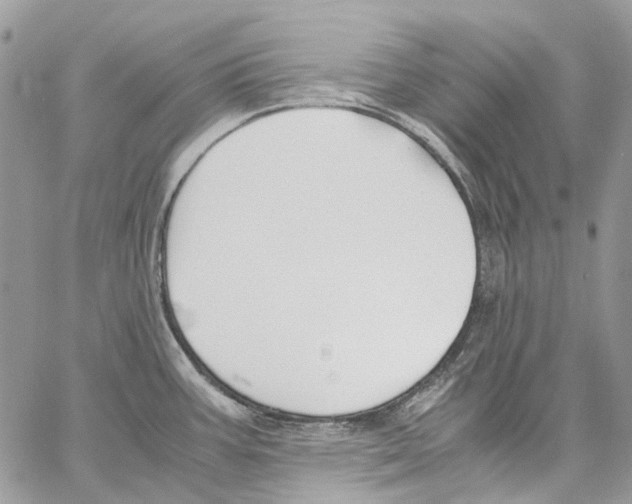 X0000061721387200512302108