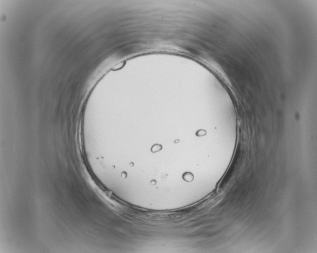 X0000061721391200512302108