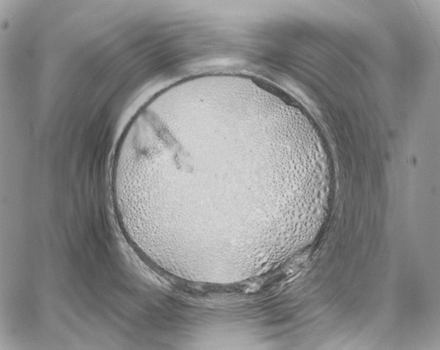 X0000061721392200512302108