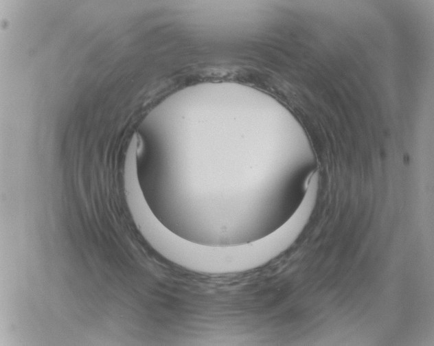 X0000061721394200512302108