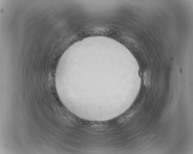 X0000061721395200512302108