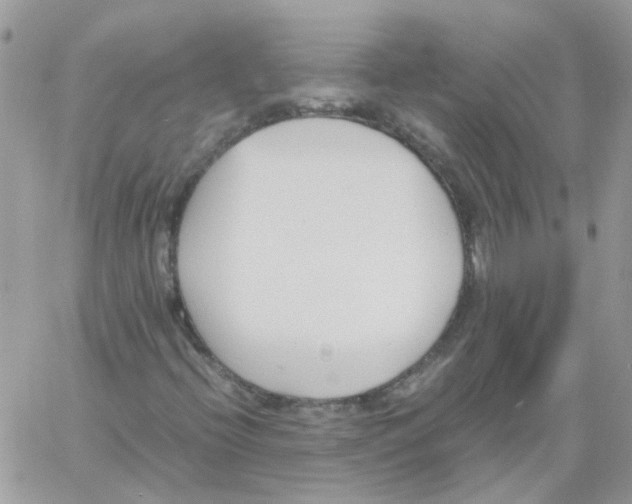 X0000061721396200512302108