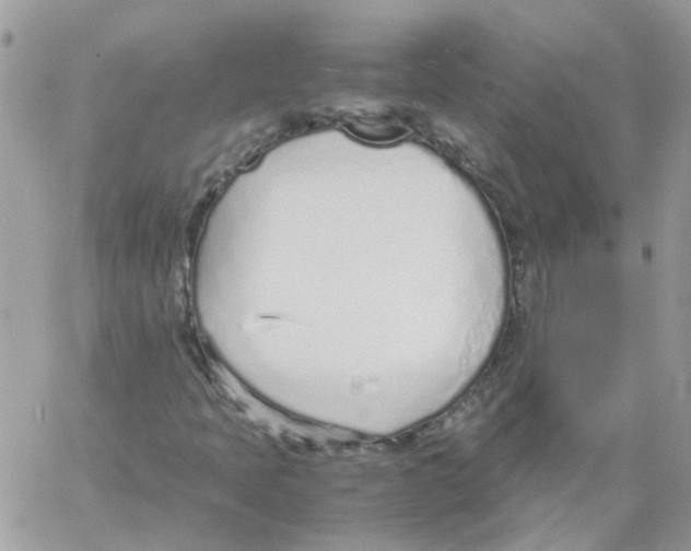 X0000061721397200512302108