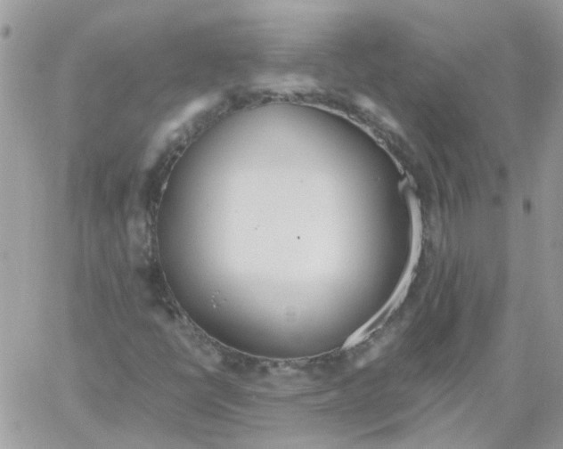 X0000061721398200512302108