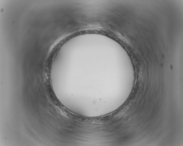 X0000061721400200512302108