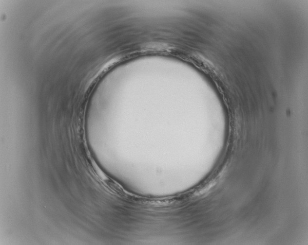 X0000061721401200512302108