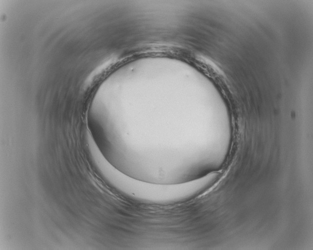 X0000061721403200512302108