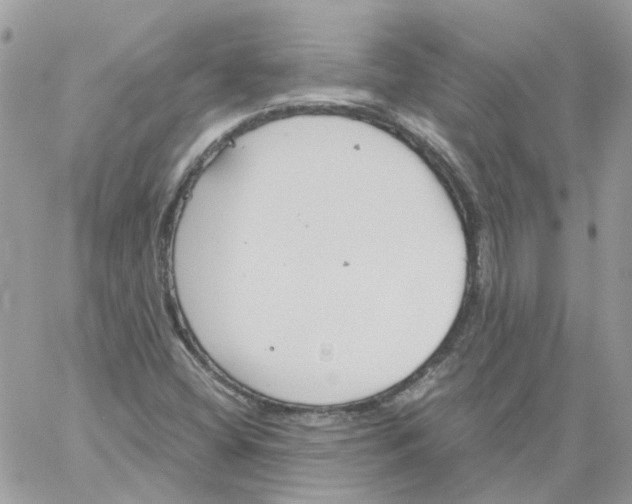 X0000061721404200512302108