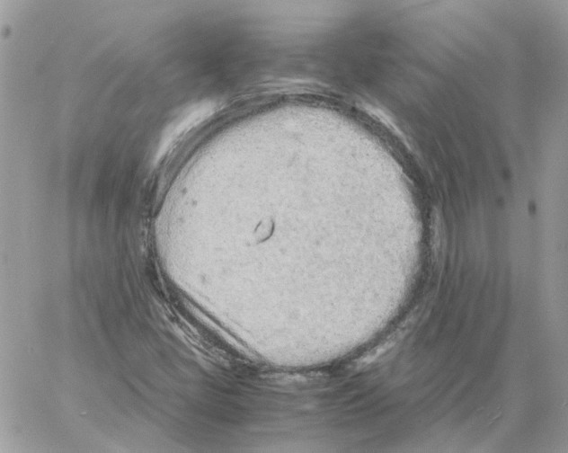 X0000061721405200512302108