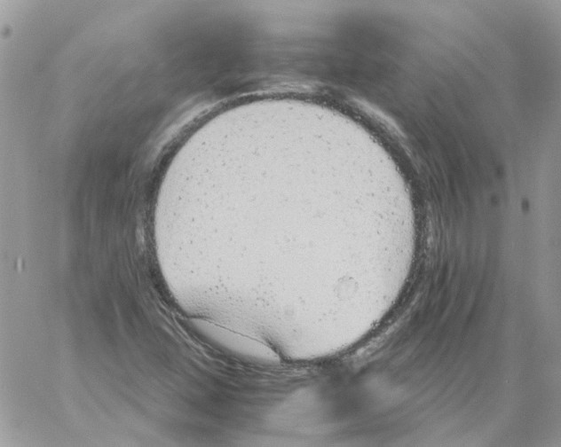 X0000061721407200512302108