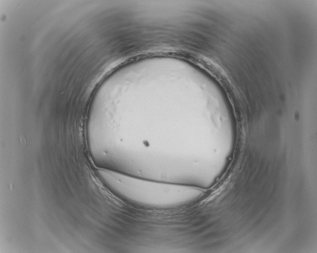 X0000061721409200512302108