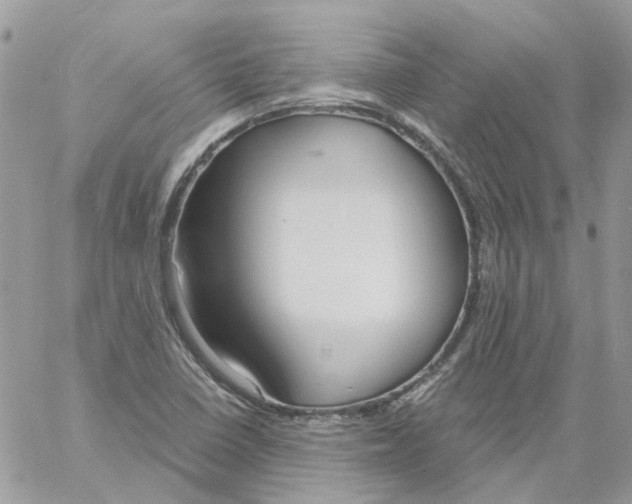 X0000061721410200512302108