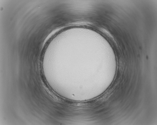 X0000061721412200512302108