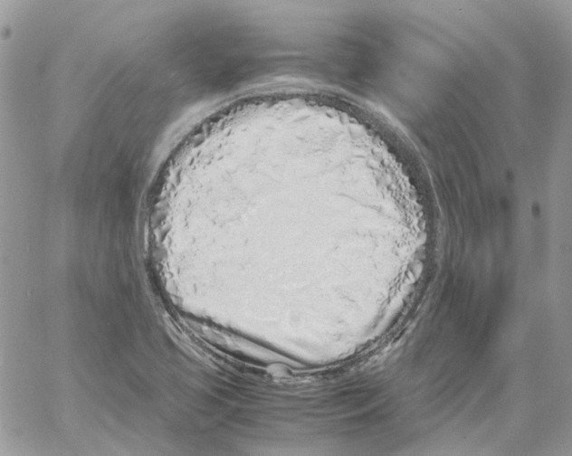 X0000061721413200512302108