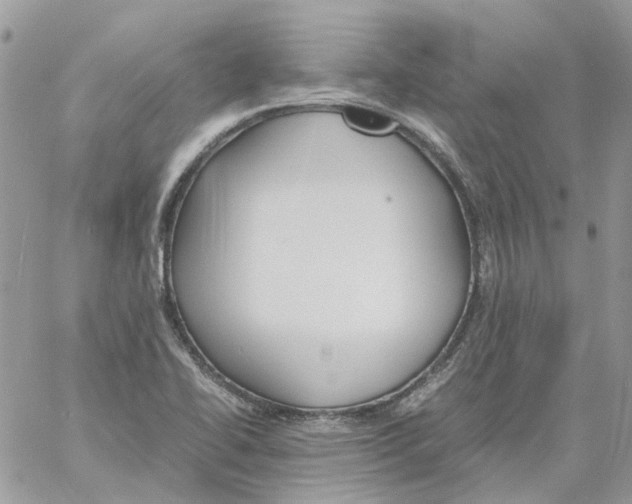 X0000061721414200512302108