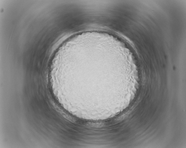 X0000061721415200512302108