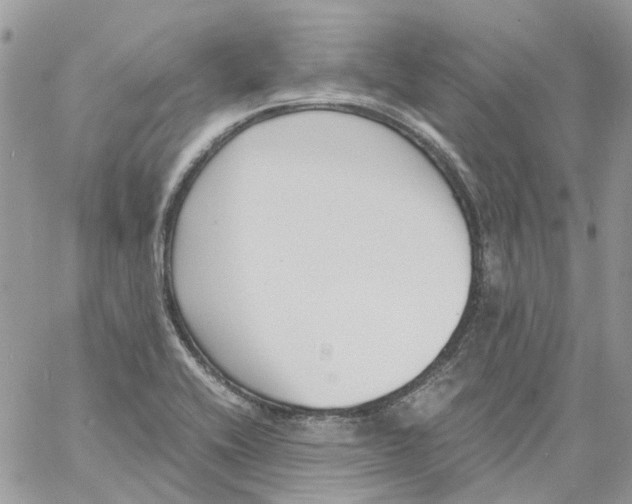 X0000061721416200512302108