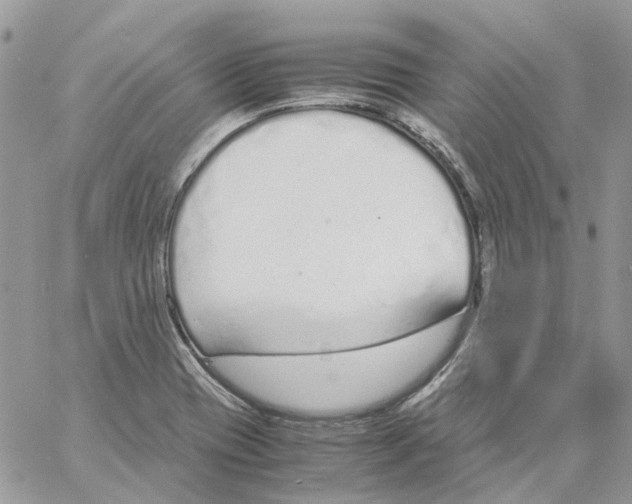 X0000061721417200512302108