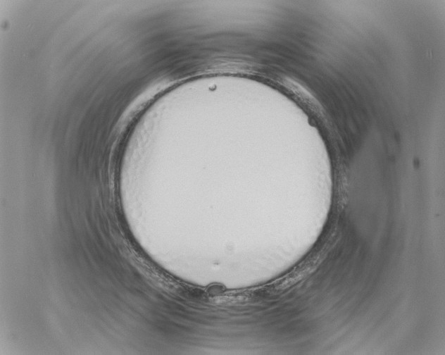 X0000061721419200512302108