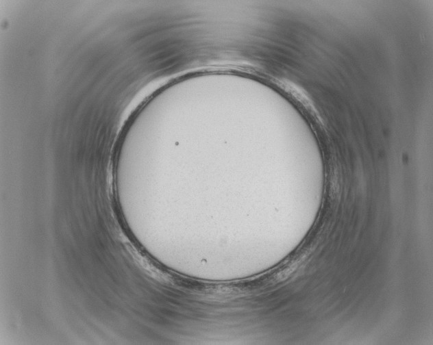 X0000061721420200512302108